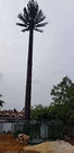 การสื่อสารพรางตัว Pine Palm Tree Tower 0m - 80m ความสูง