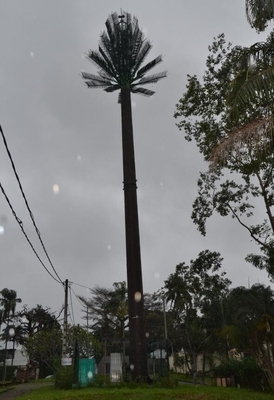 Pine Tree Mobile Tubular Antenna Tower สำหรับโทรคมนาคม